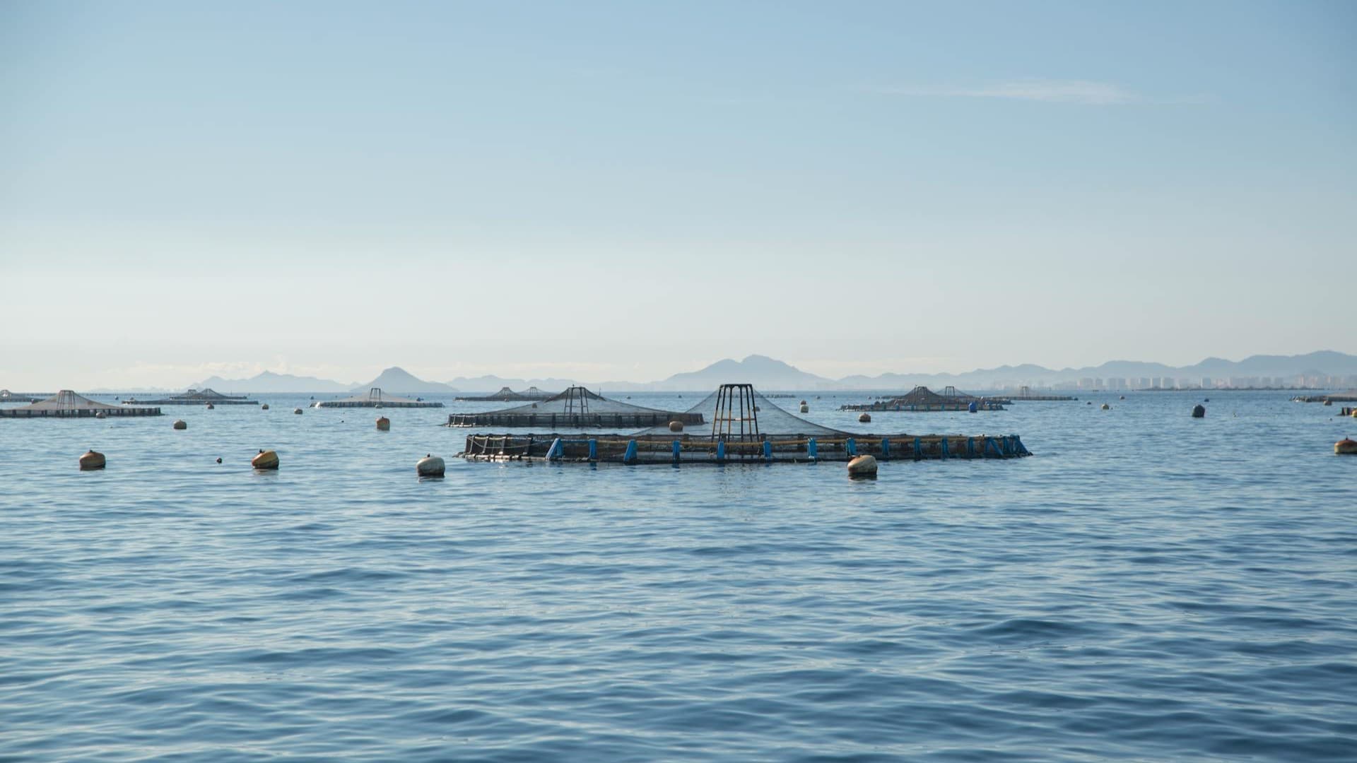 San Pedro Del Pinatar 4